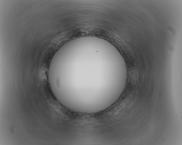 X0000113900770200910081828