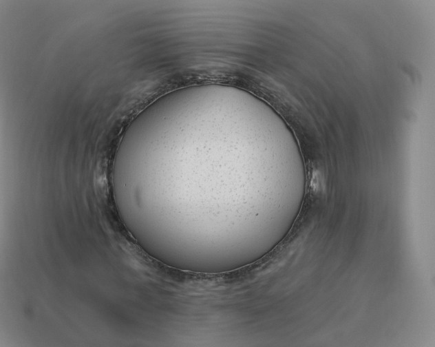 X0000113900771200910081828