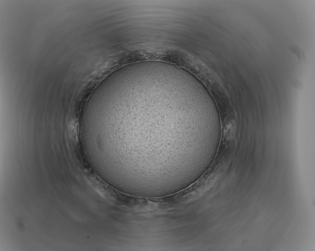 X0000113900772200910081828