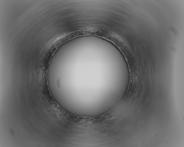 X0000113900773200910081828