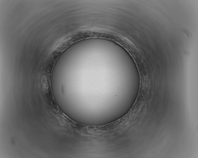 X0000113900774200910081828