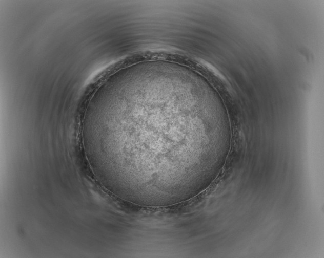 X0000113900775200910081828