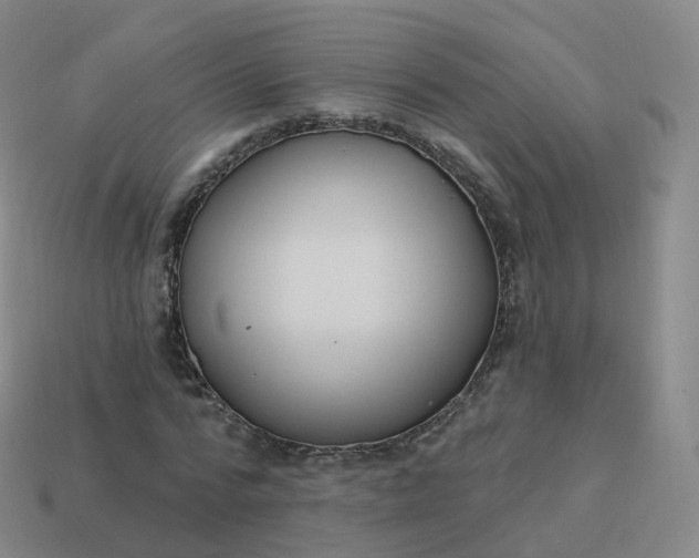 X0000113900776200910081828