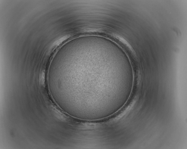 X0000113900777200910081828