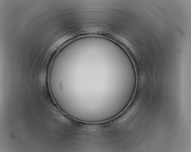 X0000113900778200910081828