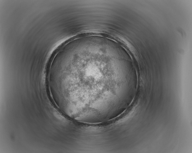 X0000113900779200910081828