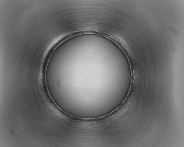 X0000113900780200910081828