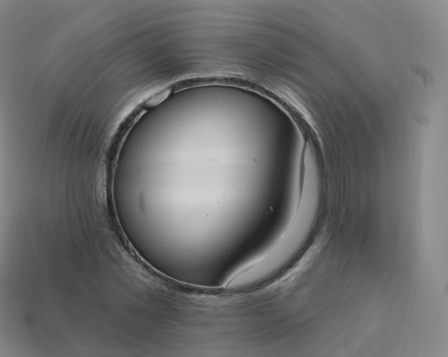 X0000113900781200910081828