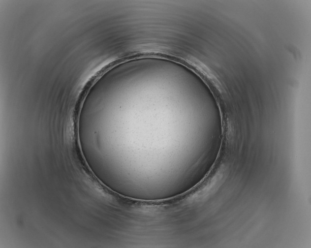 X0000113900782200910081828