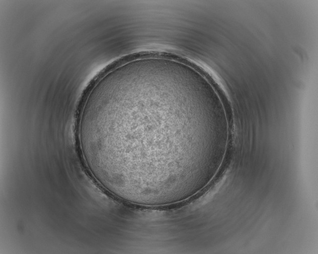 X0000113900783200910081828