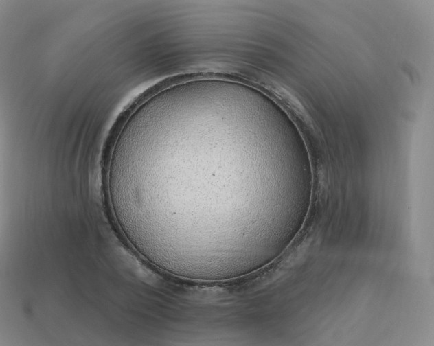 X0000113900784200910081828