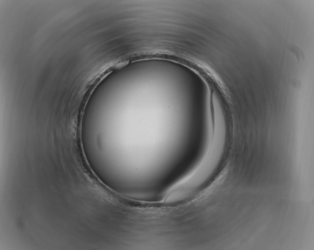 X0000113900785200910081828