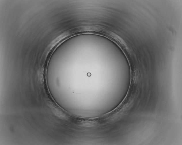 X0000113900786200910081828