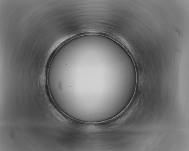 X0000113900787200910081828