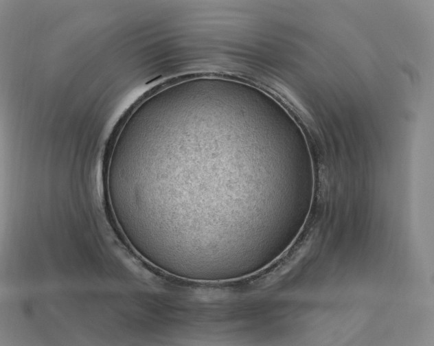 X0000113900788200910081828