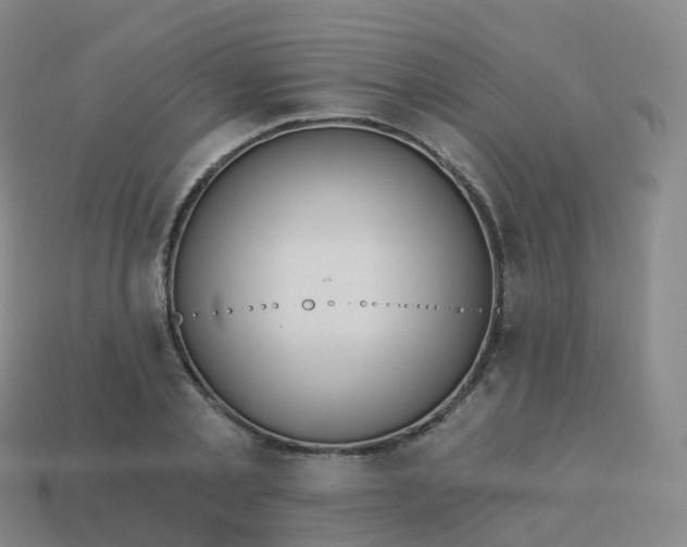 X0000113900789200910081828