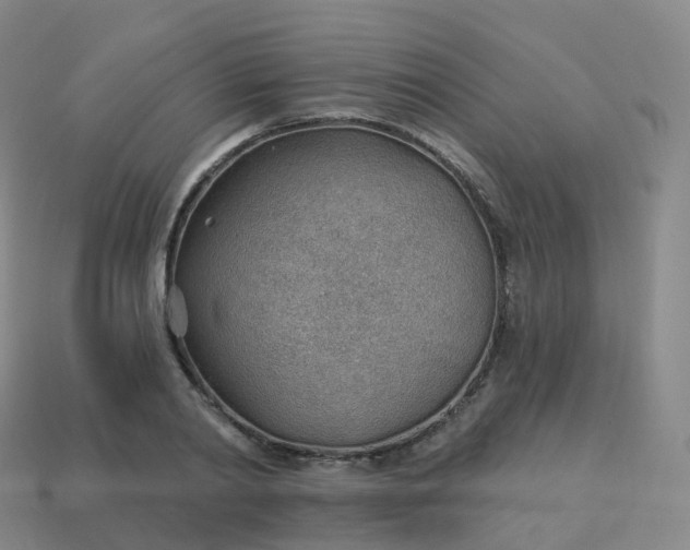 X0000113900790200910081828