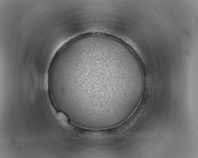 X0000113900791200910081828