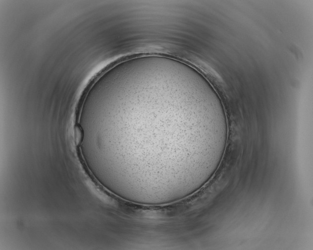 X0000113900792200910081828