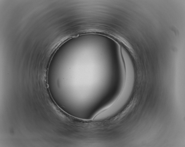 X0000113900793200910081828