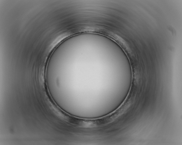 X0000113900794200910081828