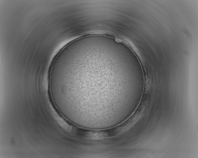 X0000113900795200910081828