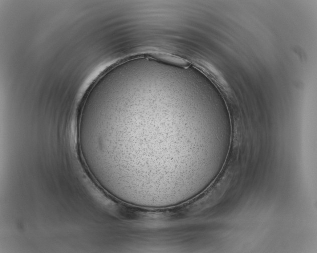 X0000113900796200910081828