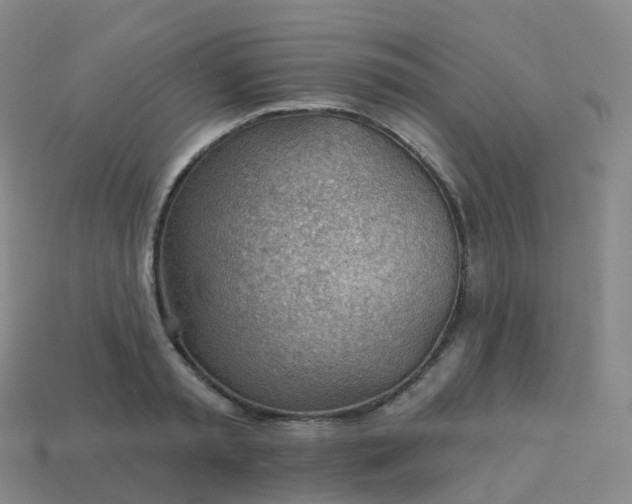 X0000113900797200910081828