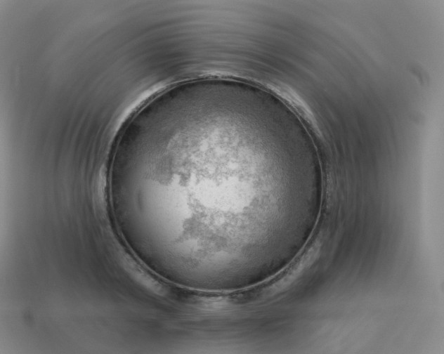 X0000113900798200910081828