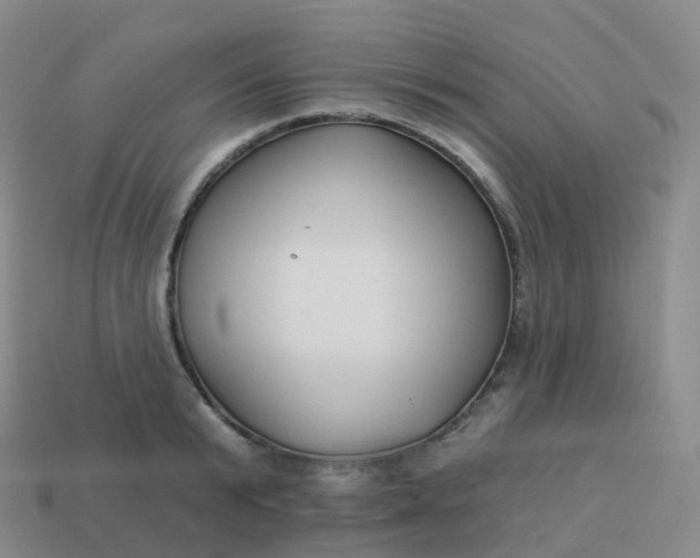 X0000113900799200910081828