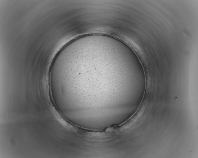 X0000113900800200910081828