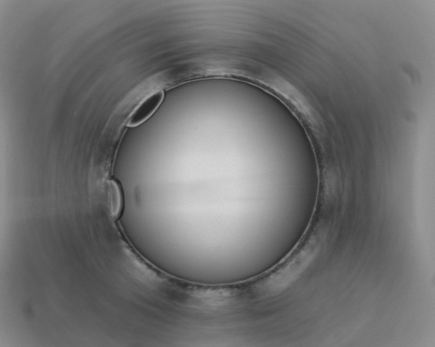 X0000113900801200910081828