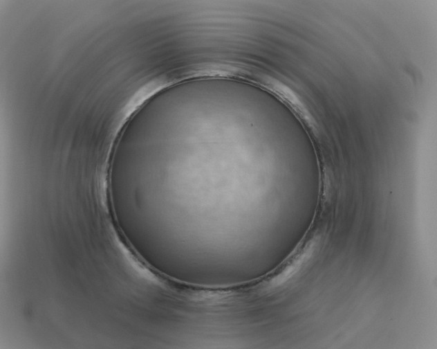 X0000113900802200910081828