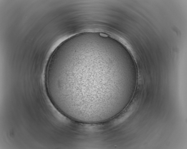 X0000113900803200910081828