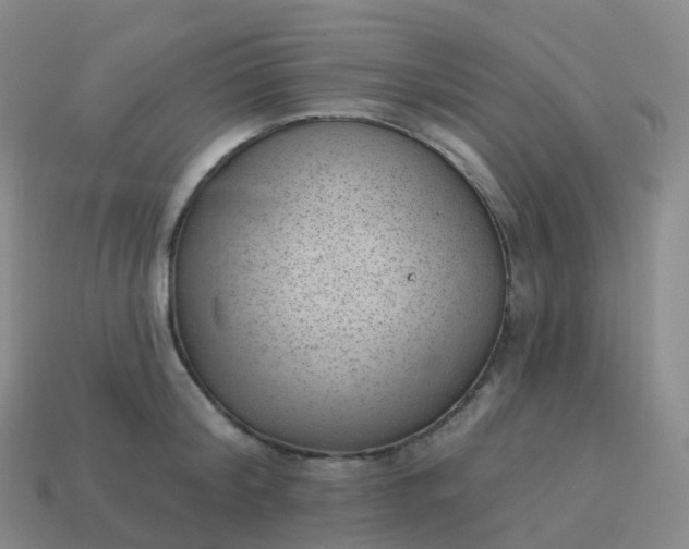 X0000113900804200910081828