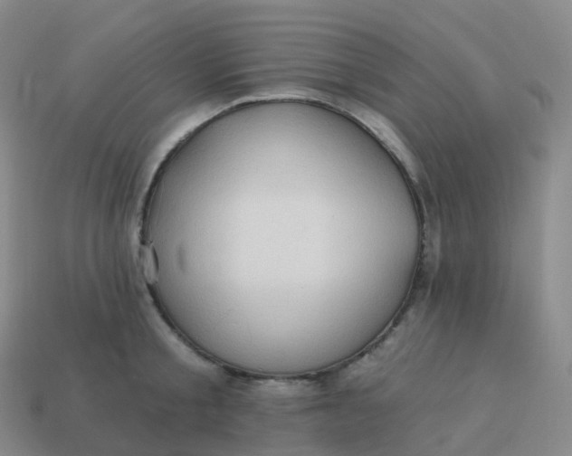 X0000113900805200910081828