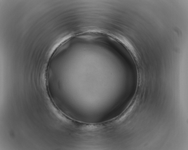 X0000113900806200910081828