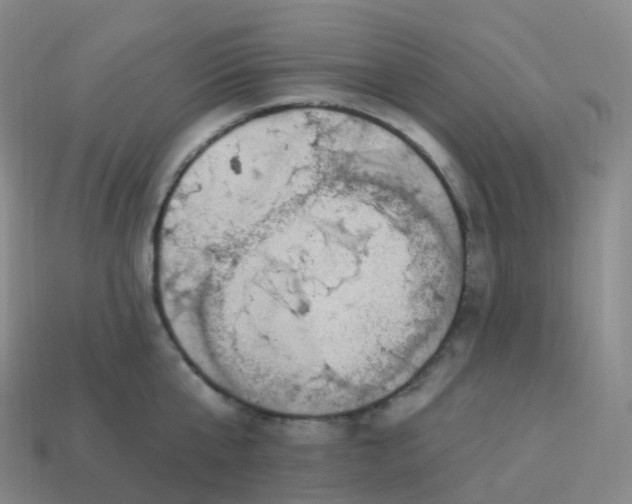 X0000113900807200910081828