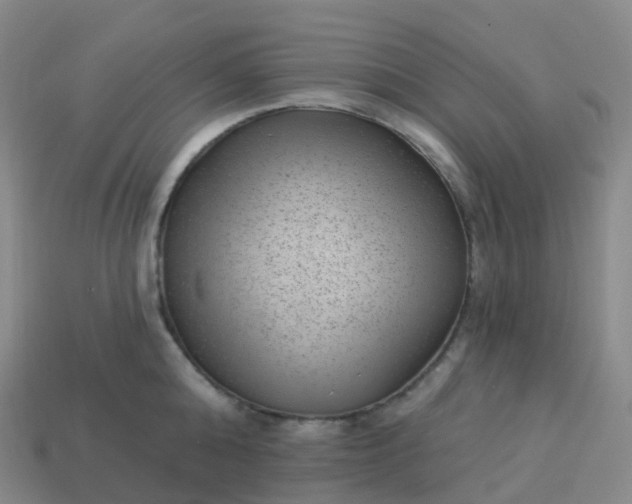 X0000113900808200910081828