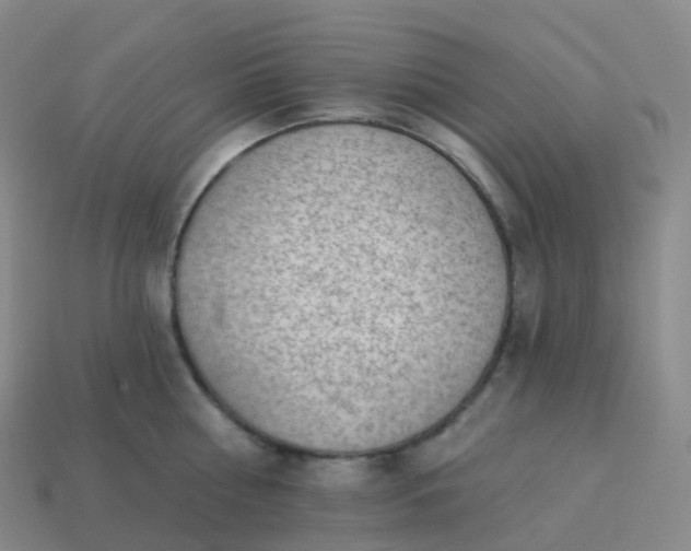 X0000113900810200910081828