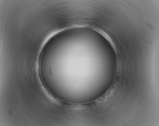 X0000113900811200910081828