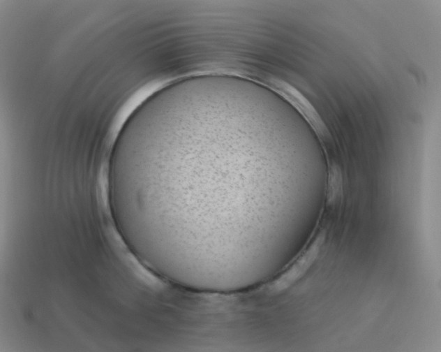 X0000113900812200910081828