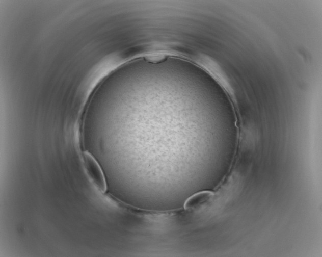 X0000113900813200910081828