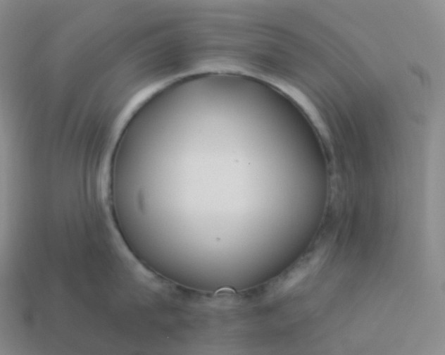 X0000113900815200910081828