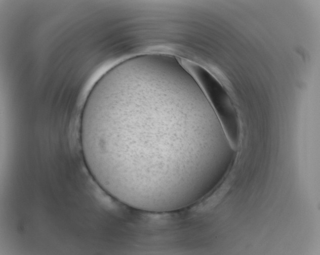 X0000113900816200910081828