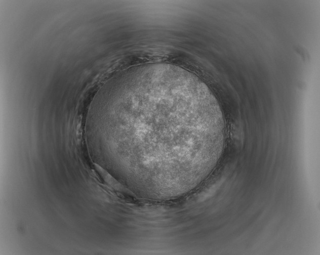 X0000113900818200910081827