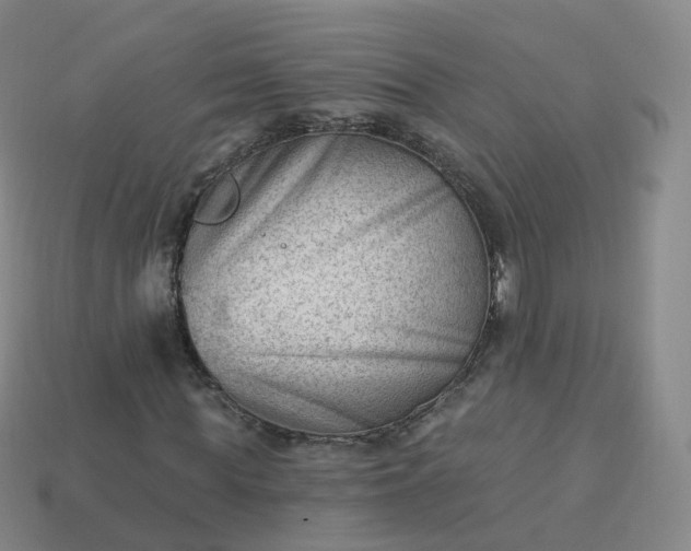 X0000113900819200910081827