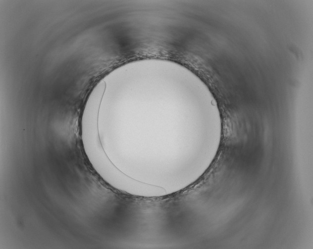 X0000113900820200910081827