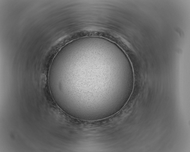 X0000113900821200910081827