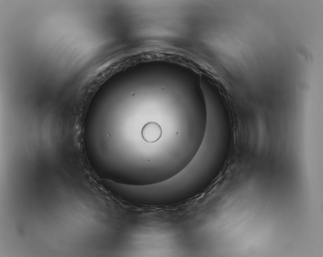 X0000113900822200910081827